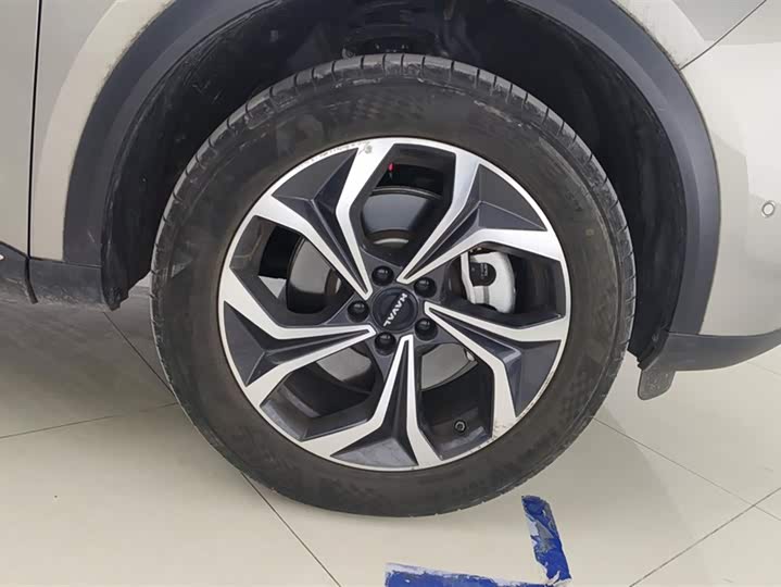 Фото 6 - Haval Ruge Max