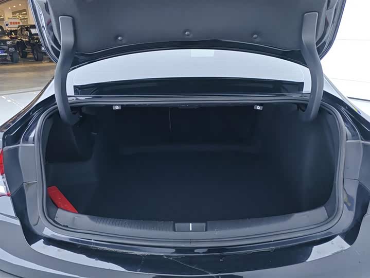 Фото 4 - Buick Regal