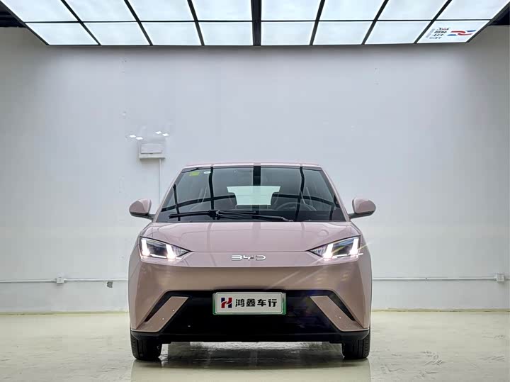 Фото 2 - BYD Seagull