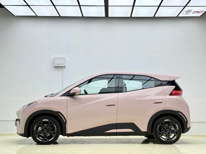 Фото 3 - BYD Seagull