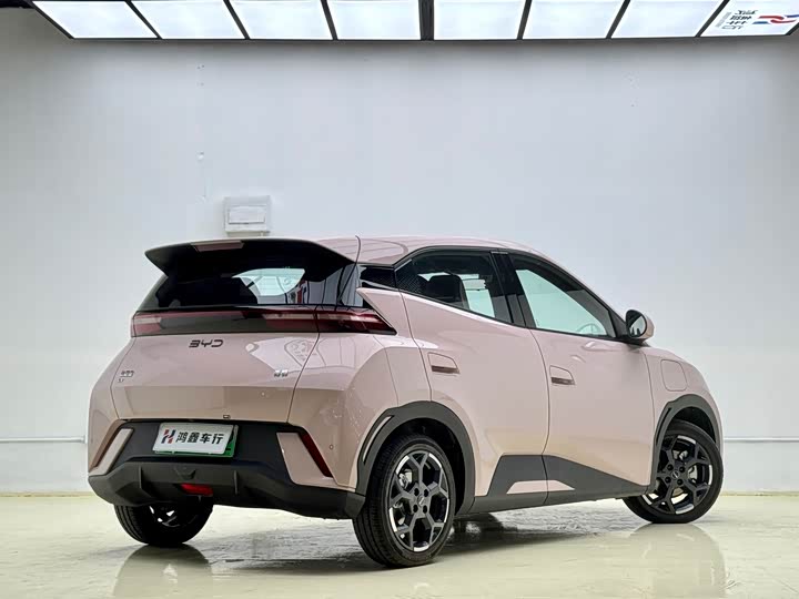 Фото 4 - BYD Seagull