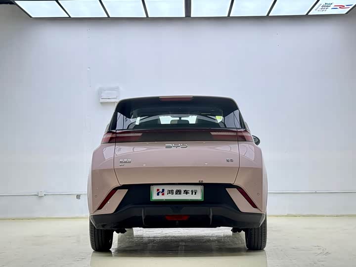 Фото 5 - BYD Seagull