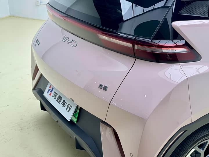 Фото 6 - BYD Seagull