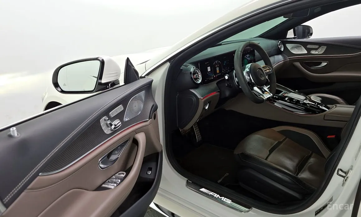 Фото 10 - Mercedes-Benz AMG GT