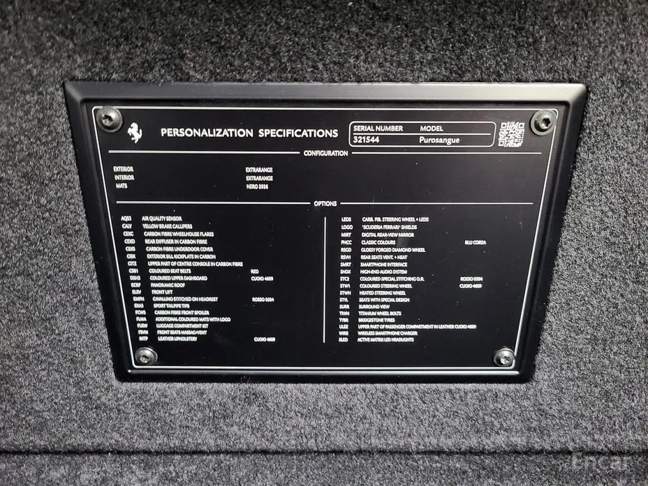 Фото 20 - Ferrari Purosangue