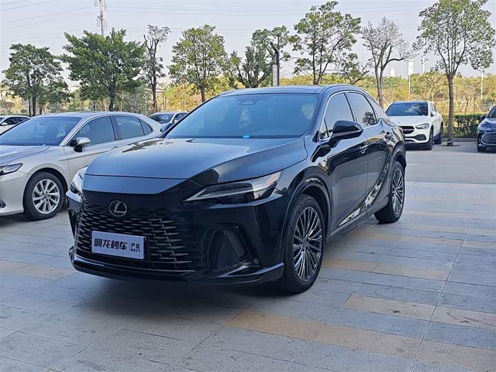 Фото 1 - Lexus RX