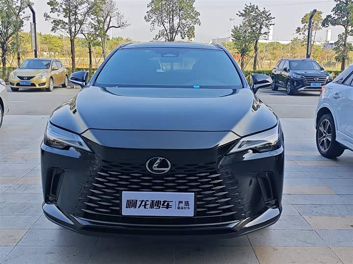 Фото 2 - Lexus RX