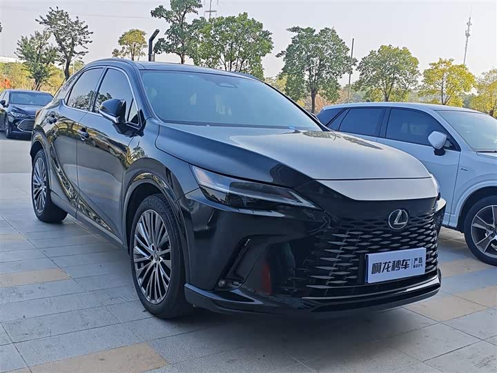 Фото 3 - Lexus RX