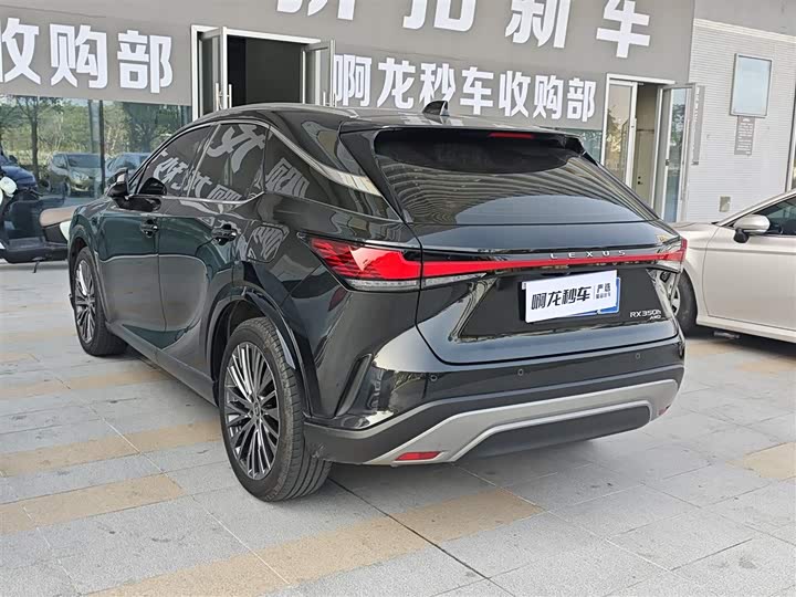 Фото 4 - Lexus RX