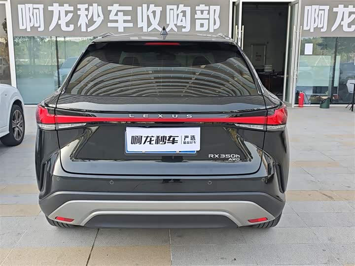 Фото 5 - Lexus RX