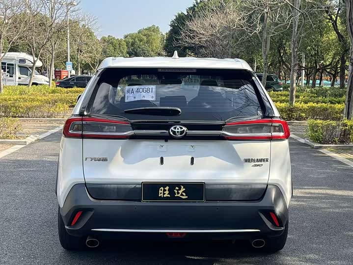 Фото 8 - Toyota Wildlander