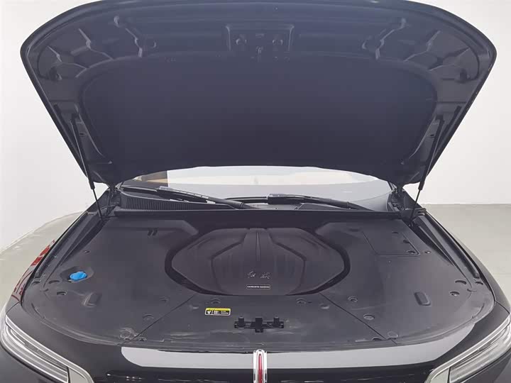 Фото 6 - Hongqi H9