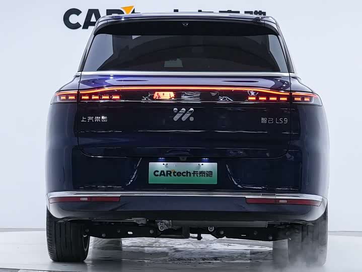 Фото 5 - IM motors LS9