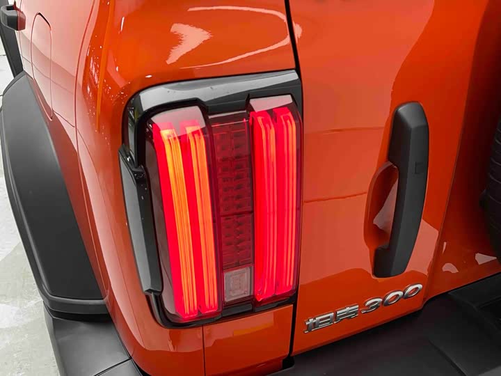 Фото 7 - Tank 300