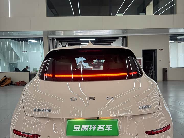 Фото 8 - Ora Good Cat (03)