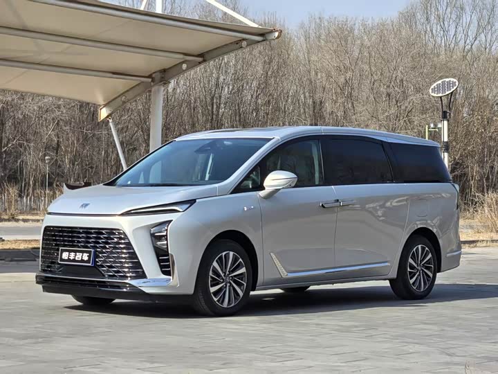 Фото 1 - Buick GL8 ES