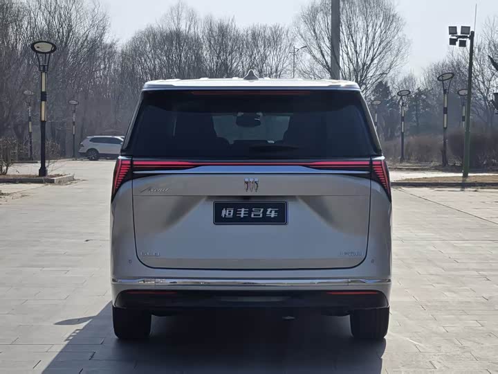 Фото 4 - Buick GL8 ES