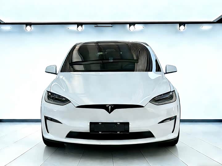 Фото 2 - Tesla Model X