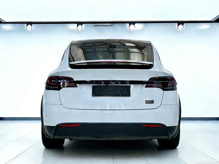 Фото 5 - Tesla Model X