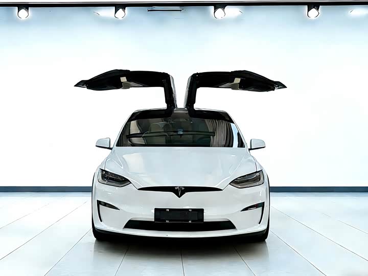 Фото 7 - Tesla Model X