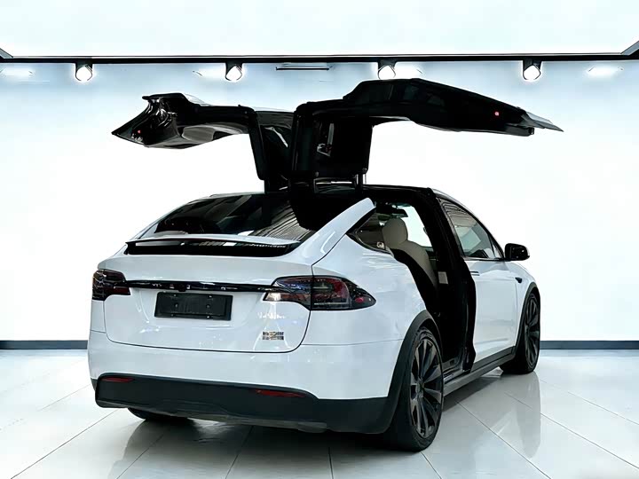 Фото 8 - Tesla Model X