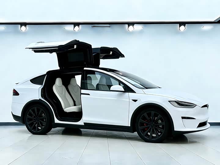 Фото 9 - Tesla Model X