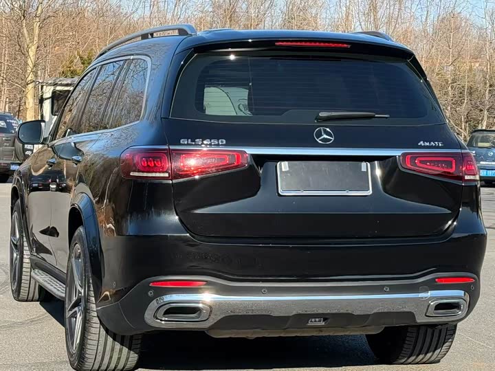 Mercedes-Benz GLS-Class 2022 2022款 GLS 450 4MATIC 豪华型