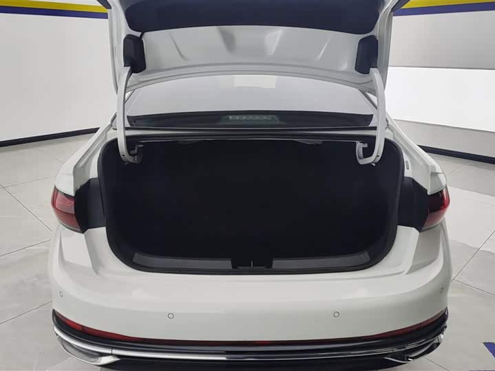 Фото 4 - Volkswagen Sagitar L