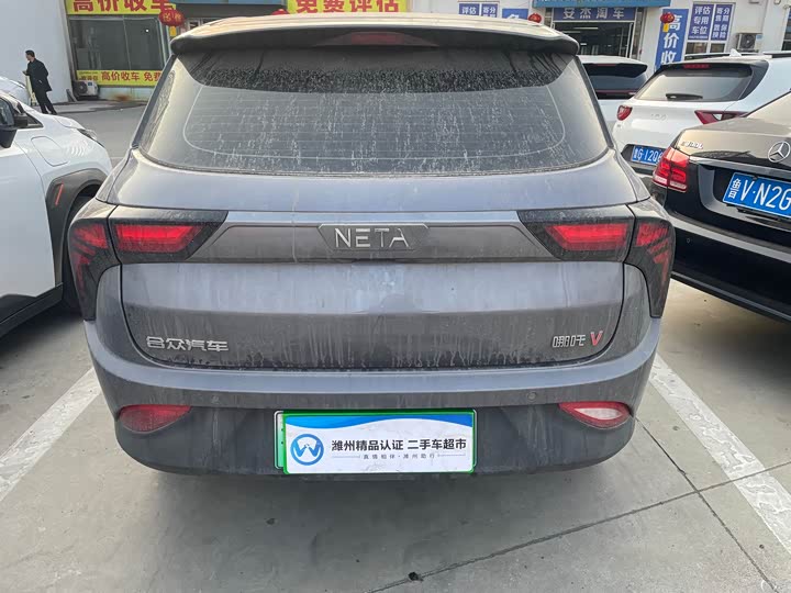 Фото 4 - Hozon V