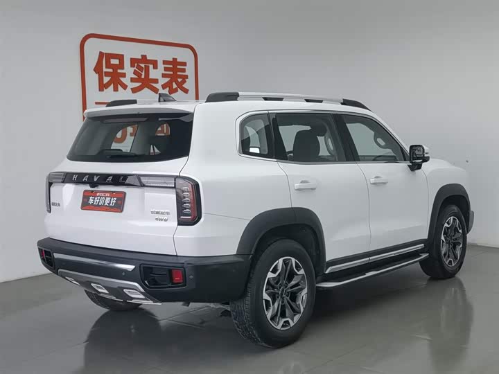 Фото 2 - Haval Dargo