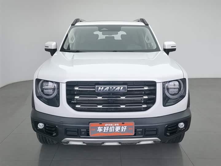 Фото 3 - Haval Dargo