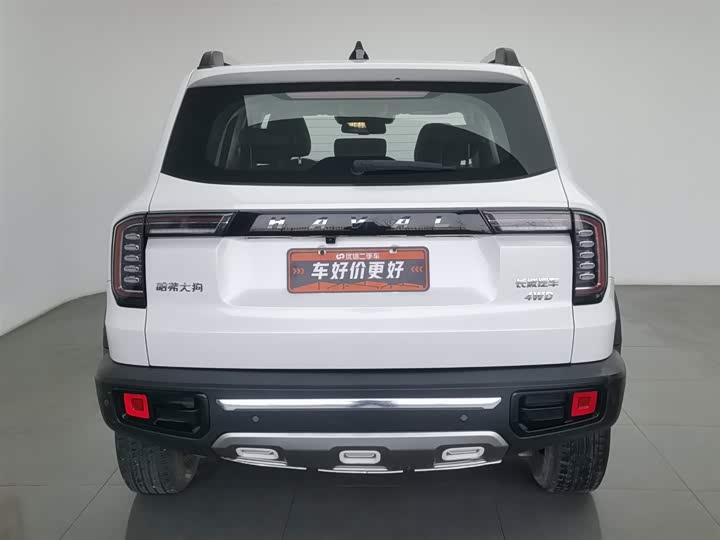 Фото 4 - Haval Dargo