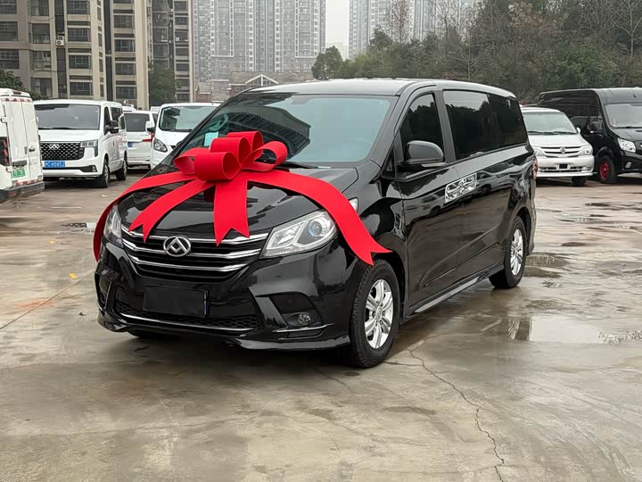 Фото 1 - Maxus G10