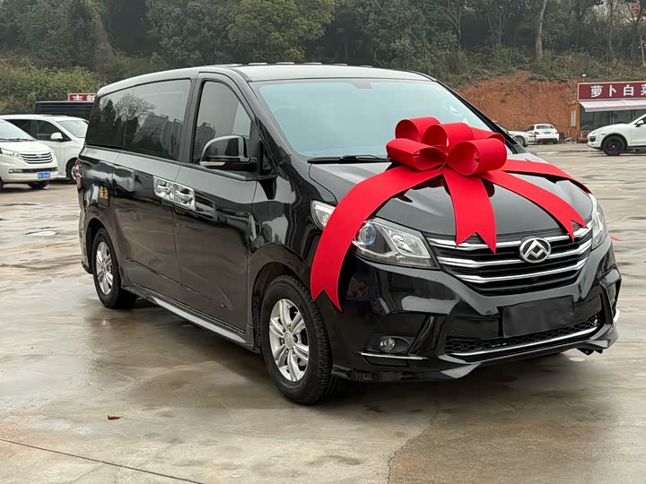 Фото 3 - Maxus G10