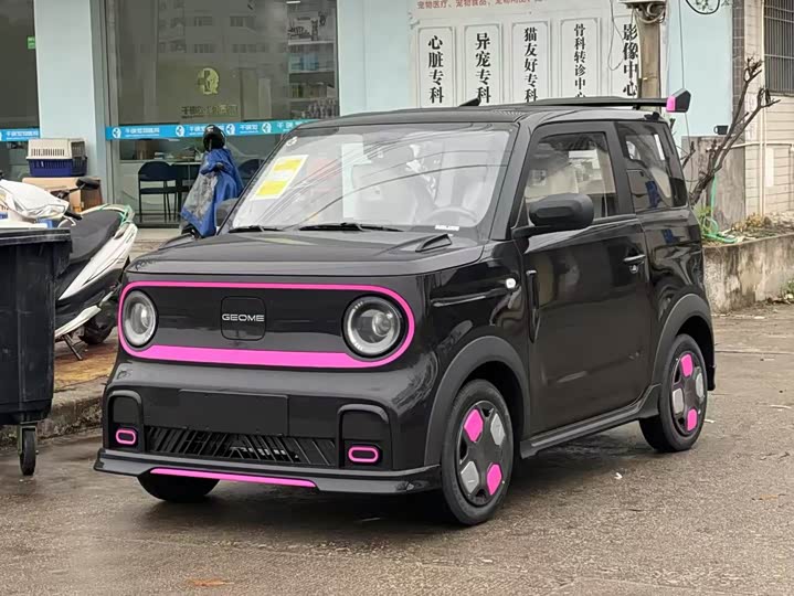 Фото 1 - Geely Galaxy Panda Mini