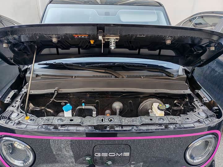 Фото 9 - Geely Galaxy Panda Mini