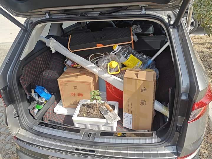 Фото 4 - Skoda Kodiaq