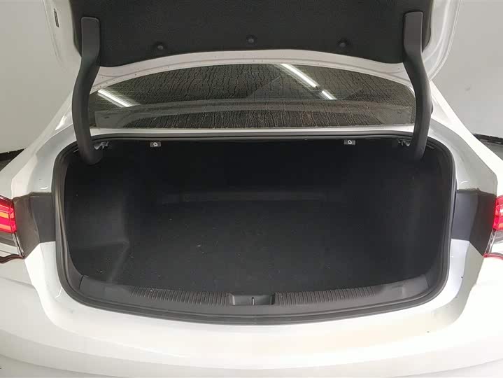 Фото 4 - Buick Regal