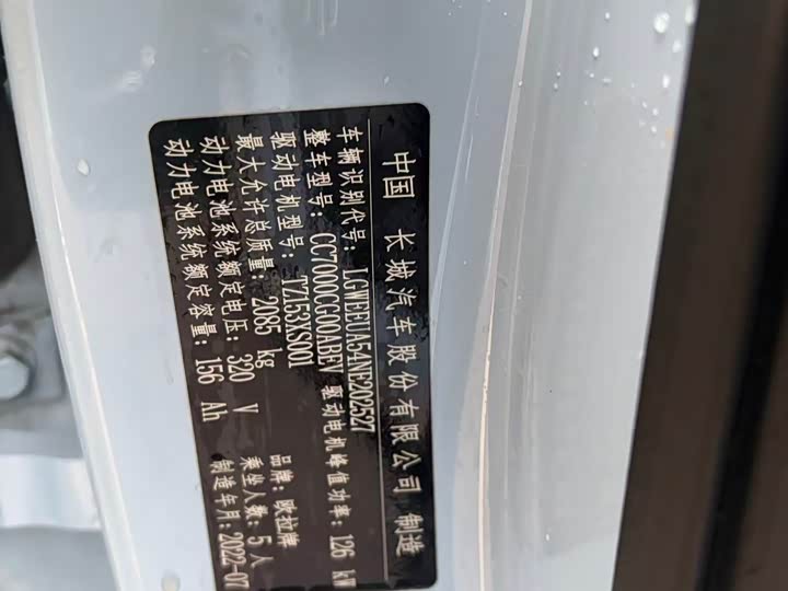 Фото 8 - Ora Ballet Cat