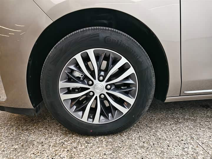 Фото 7 - Buick GL8 ES