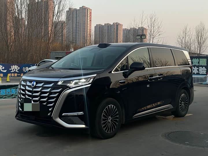 Фото 1 - Denza D9