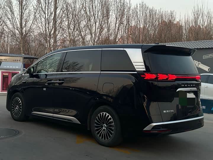 Фото 2 - Denza D9