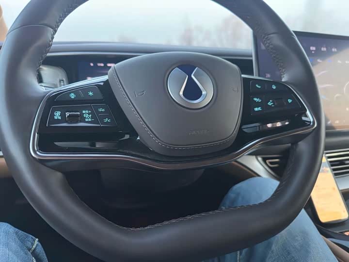 Фото 4 - Denza D9