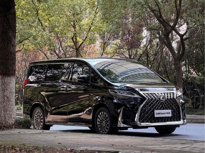 Фото 2 - Lexus LM