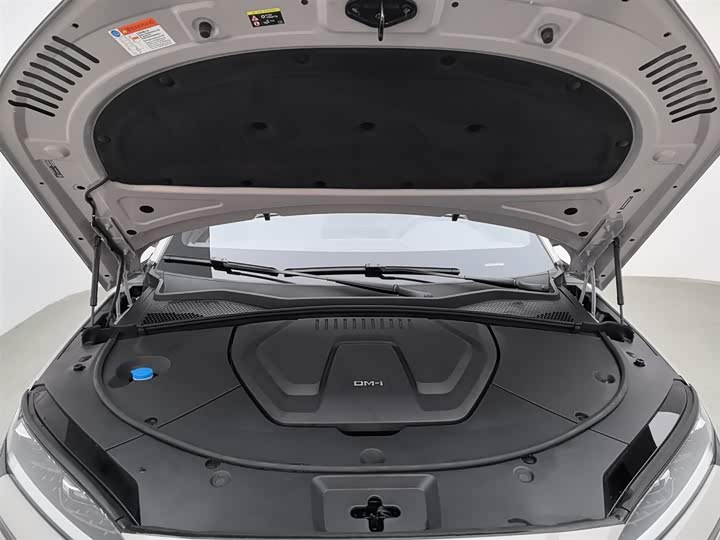 Фото 6 - BYD Song Plus Hybrid/EV