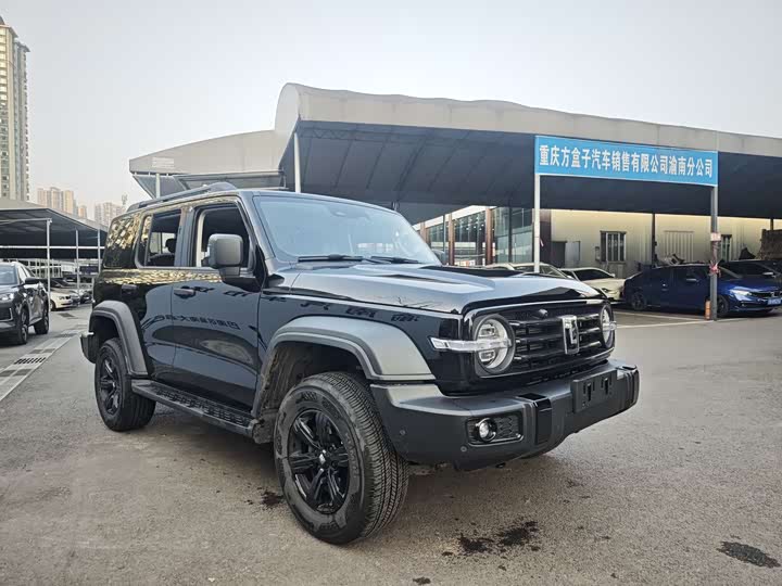 Фото 3 - Tank 300