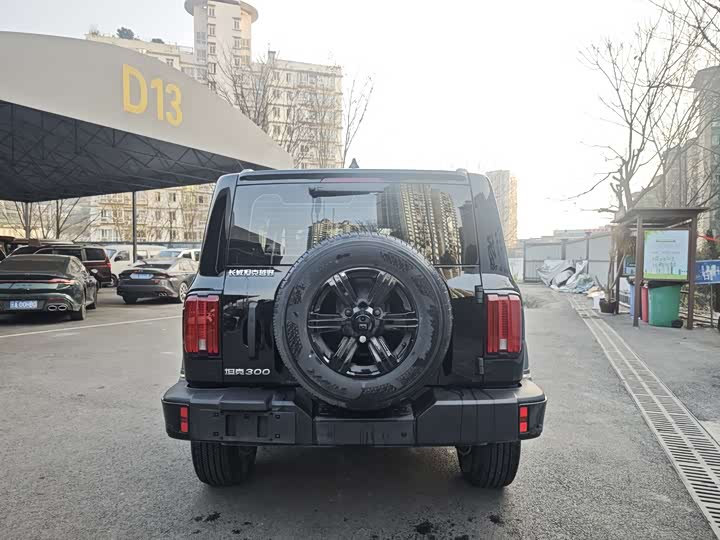 Фото 5 - Tank 300