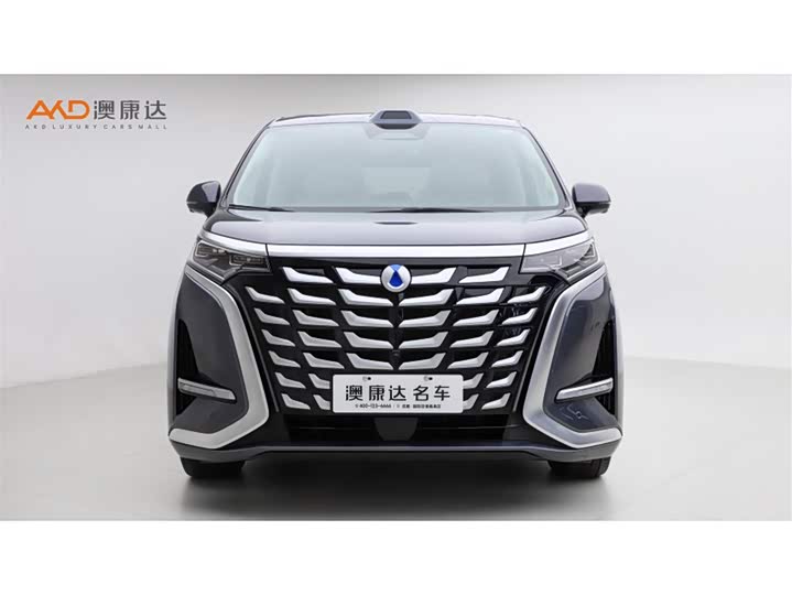 Фото 2 - Denza D9