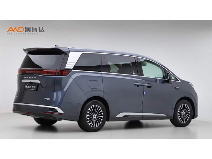 Фото 3 - Denza D9