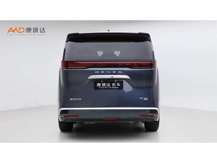 Фото 4 - Denza D9